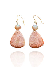 Load image into Gallery viewer, Fossilized Coral Earrings
