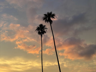 The Sunday Times: Issue #25