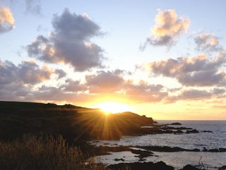 The Sunday Times: Issue #29