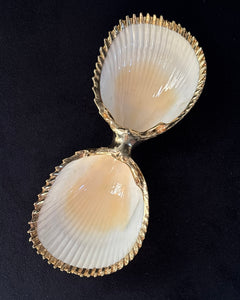 Double Shell Dish