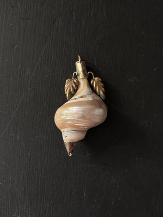 Antique Victorian Shell Snuff Box