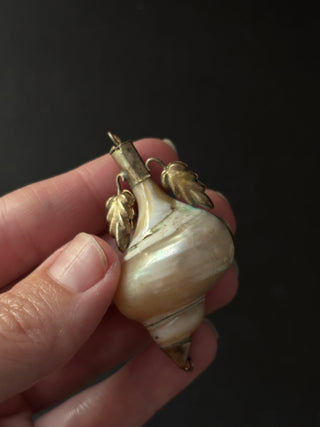Antique Victorian Shell Snuff Box