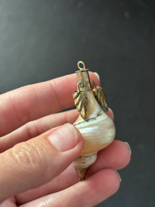 Antique Victorian Shell Snuff Box