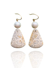 Load image into Gallery viewer, Fossilized Coral Earrings
