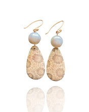 Load image into Gallery viewer, Fossilized Coral Earrings
