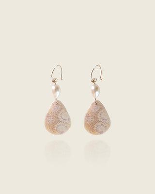 Fossilized Coral And Pearl Earrings