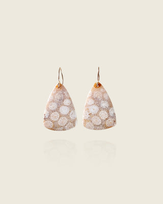 Fossilized Coral Earrings 1