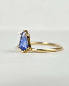 Blue Sapphire Kite Ring