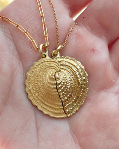 Heart Cockle Pendant